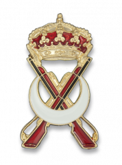 Distintivo PERMANENCIA REGULARES