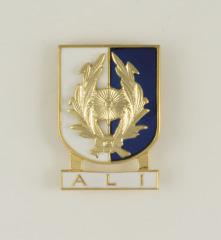 Distintivo Especialidad ALI