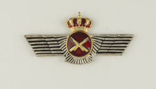 Distintivo Seguidad Defensa