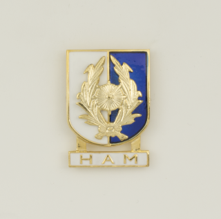 Distintivo Especialidad HAM
