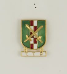 Distintivo Especialidad TTP
