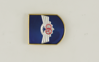 Distintivo Instructor Automovilista