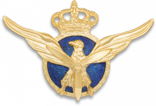 Distintivo Piloto Aviacion Civil Oficial
