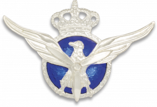 Distintivo Piloto Aviacion Civio Sub.