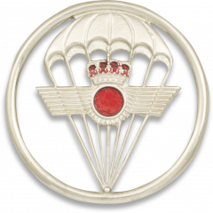 Distintivo Boina Aviacion Paracaidista