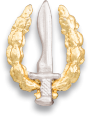 Pin pequeño emblema GOE