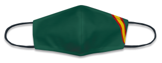 Mascarilla Verde Bandera G