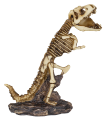 Figura Resina Esqueleto Dinosaurio Tole1