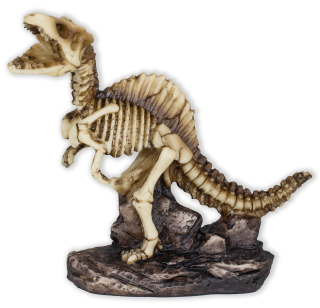 Figura Resina Esqueleto Dinosaurio Tole1