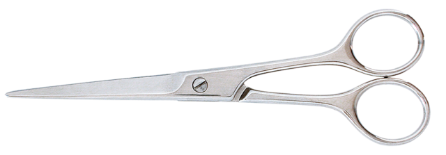 Tijeras peluquero Acero Inox 6 (1/2)"