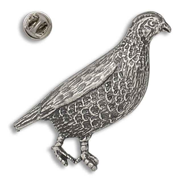 Pin PERDIZ