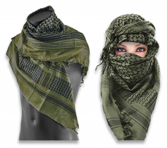 PALESTINA VERDE OLIVA